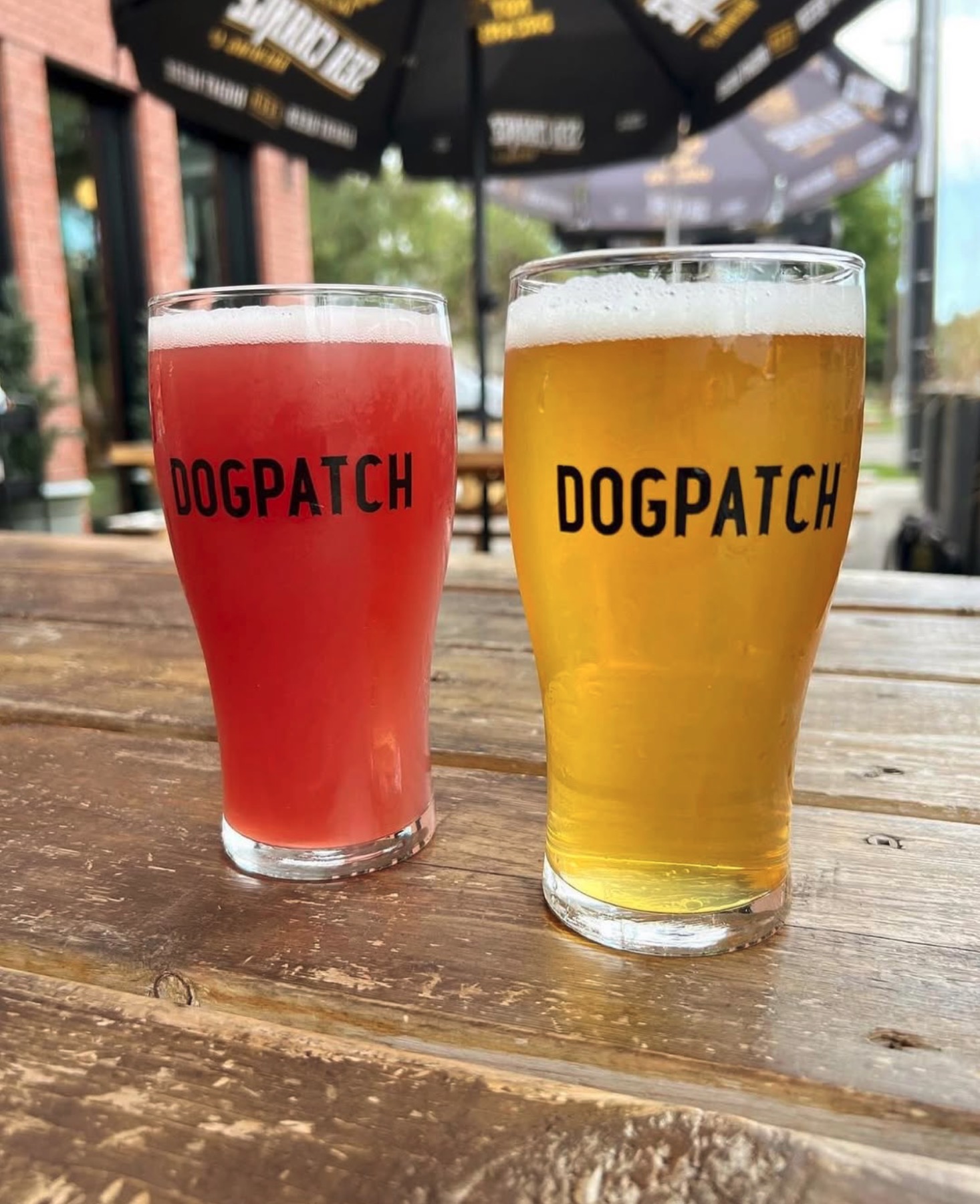 Two Dogpatch pints on a patio table